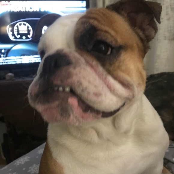 Meet your Posher, Nahariya - Picture 1 of 1